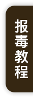report-guide